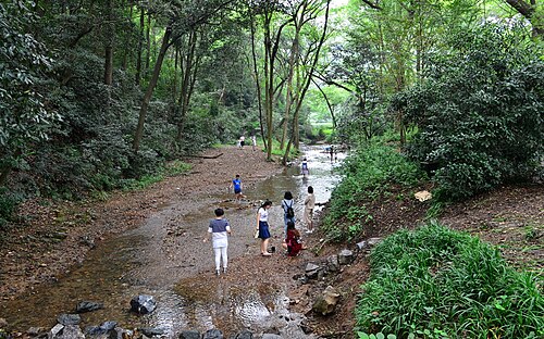 九溪烟树水岸步道