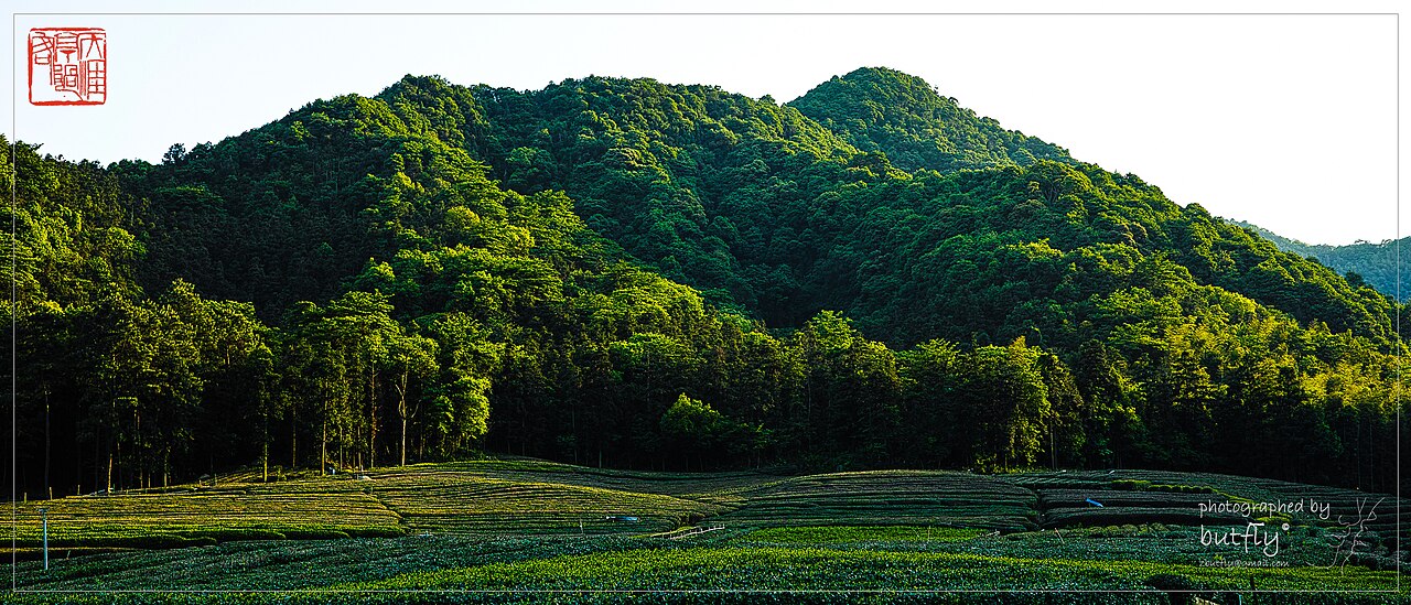 西山古道沿线群峰与林地