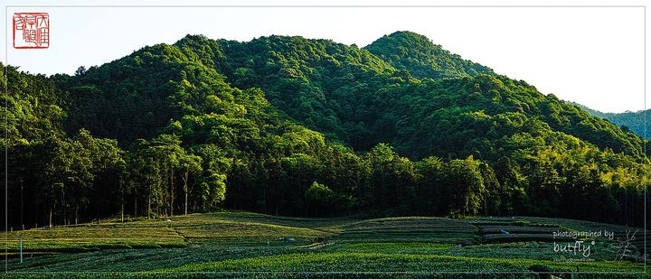 杭州西山豆腐皮古道环线实景图