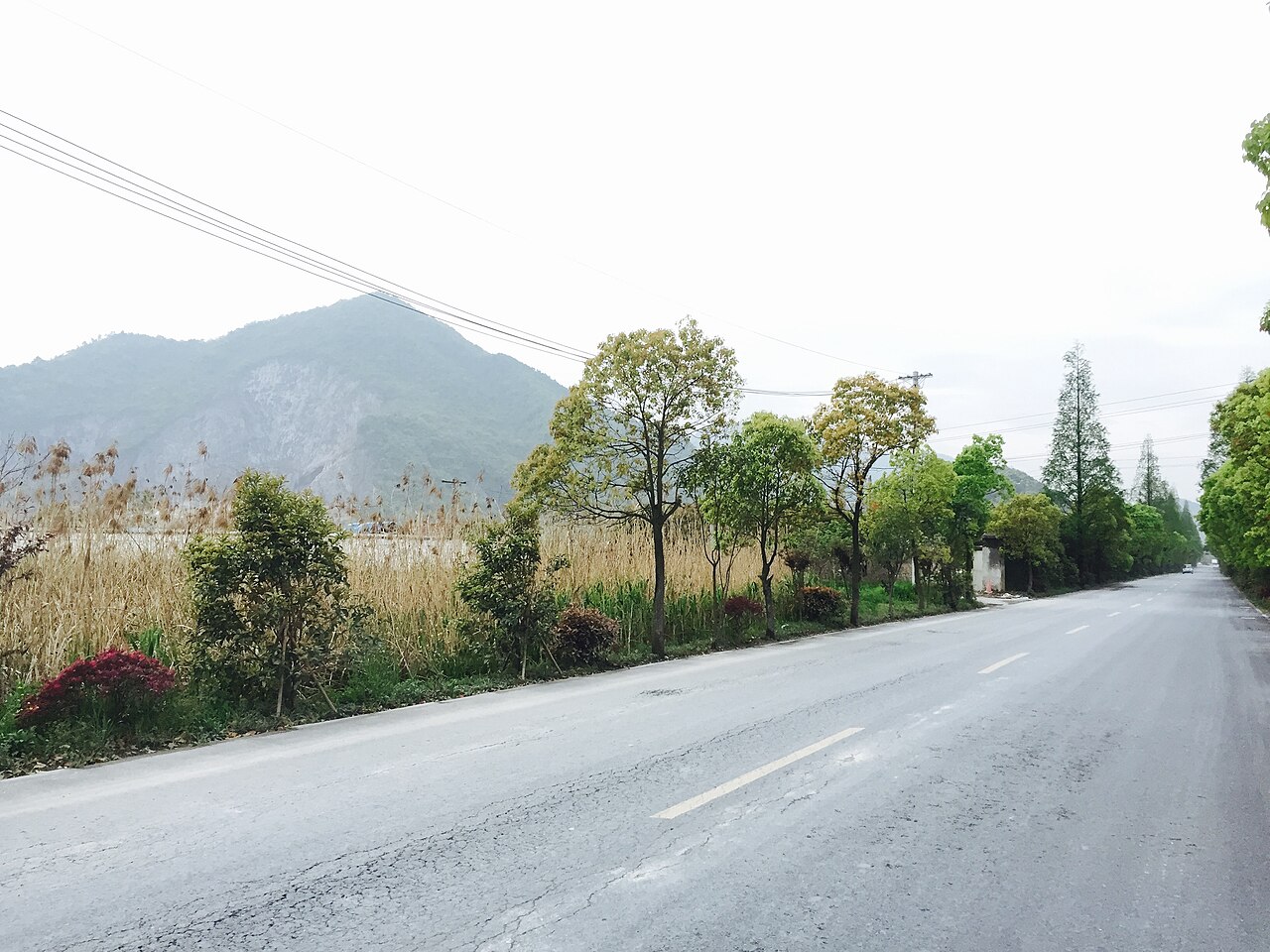 杭州西山森林公园山路