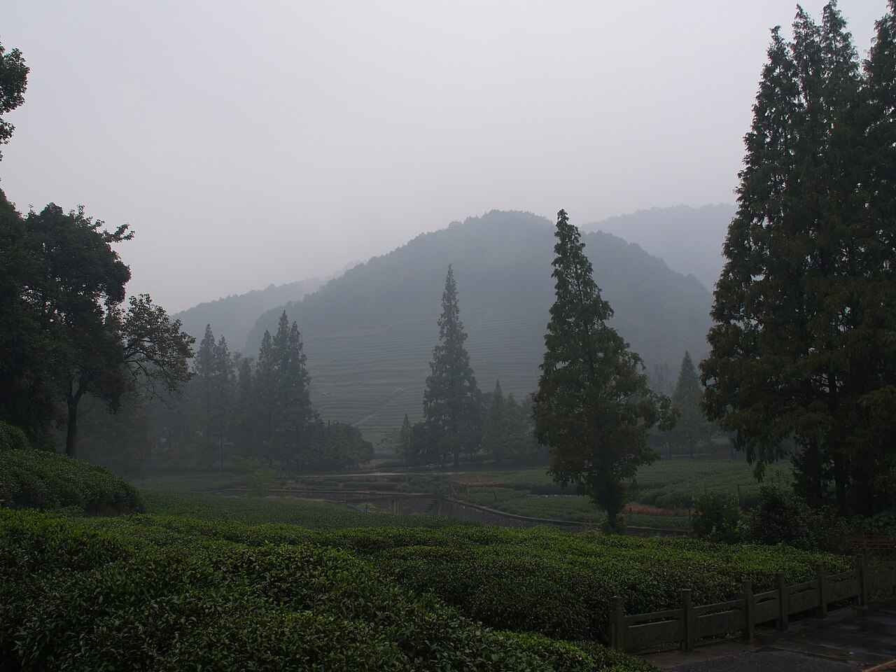 龙坞邻近龙井茶园山景