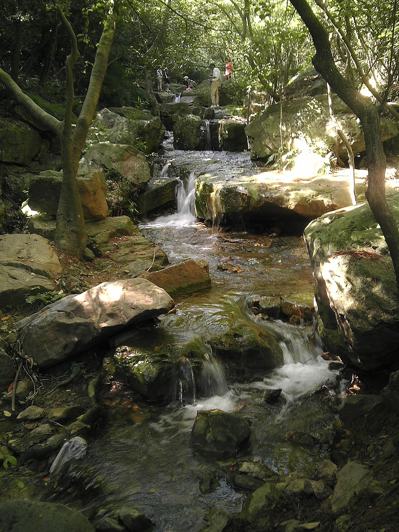 虞山溪谷石阶