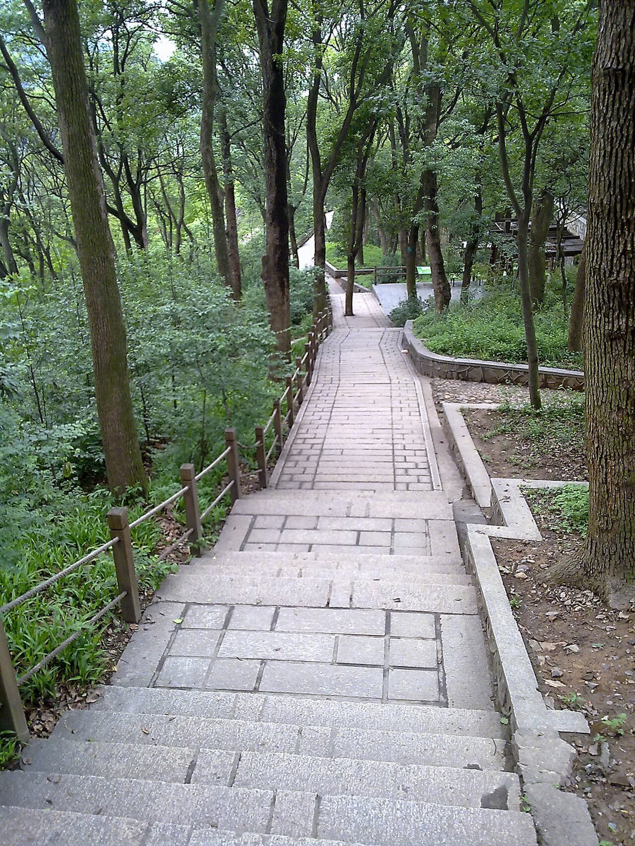 佘山林间步道