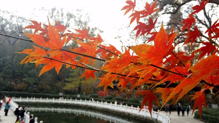南京栖霞山环线实景图