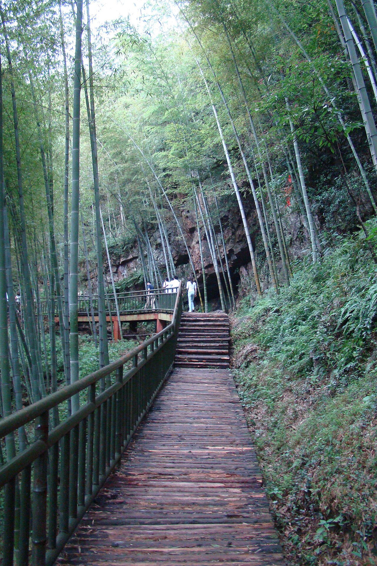 宜兴竹海竹栈道