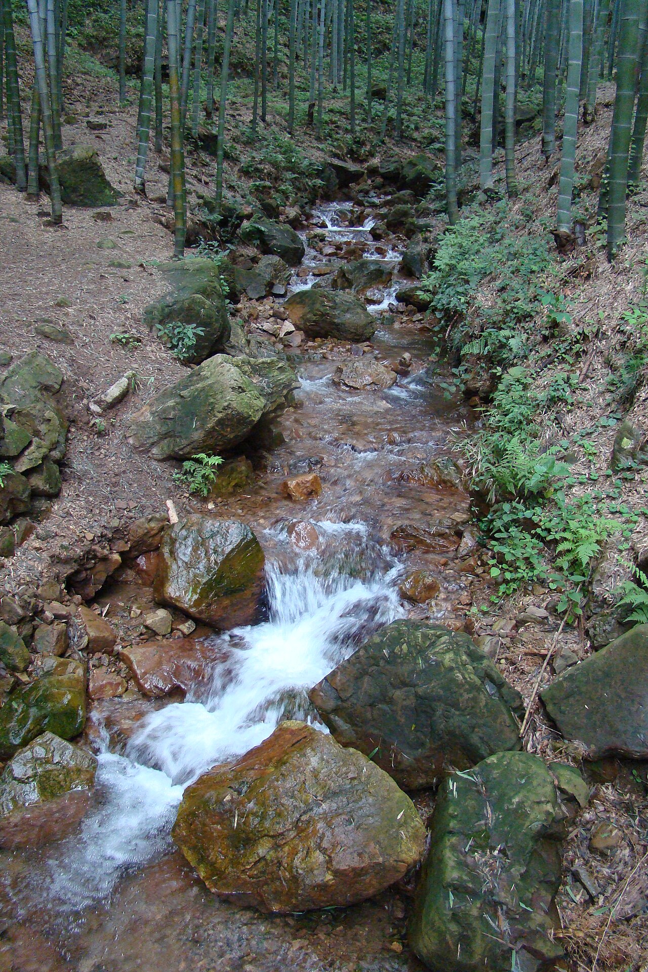 宜兴竹海山间小溪