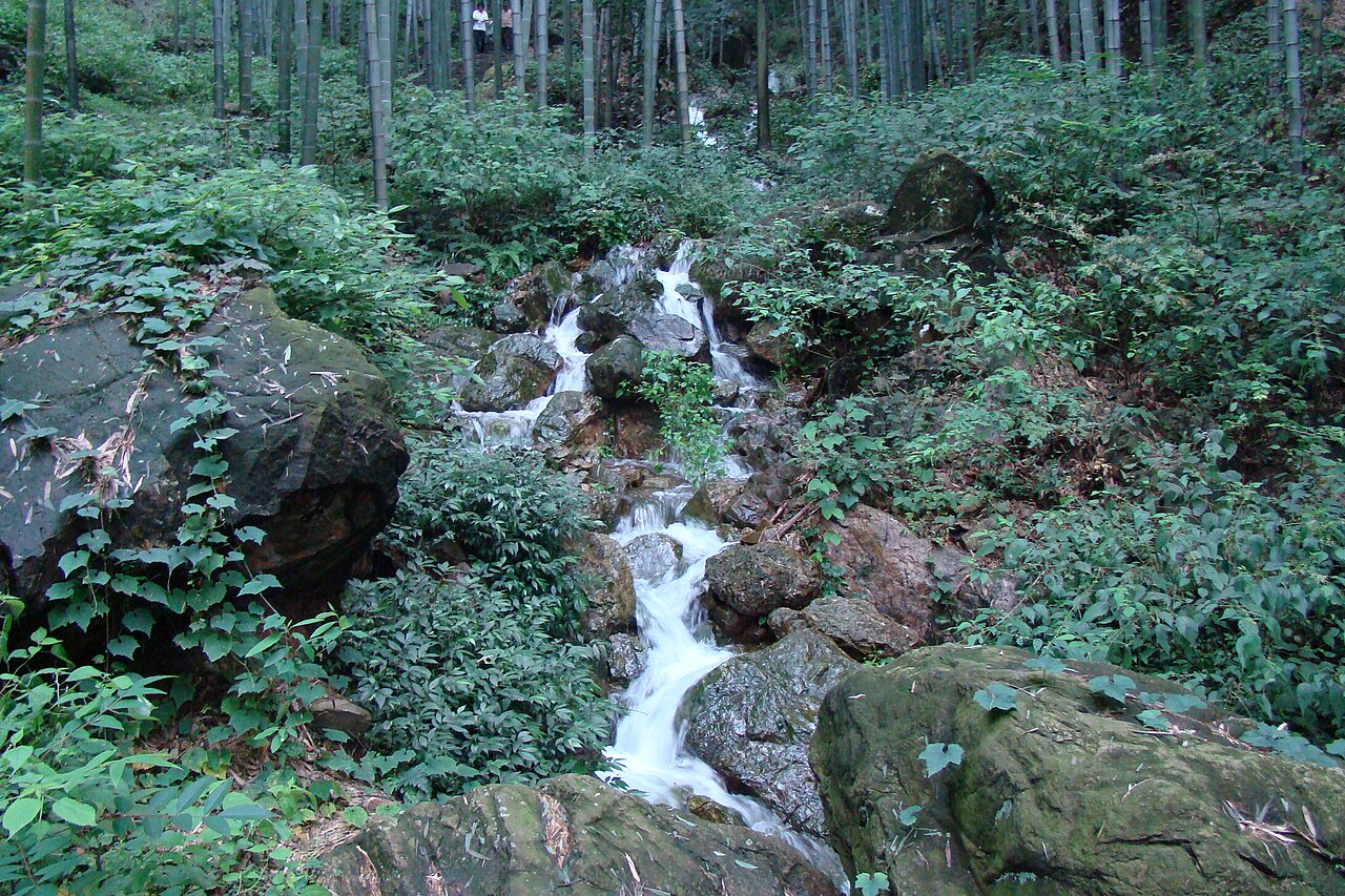 宜兴竹海竹林山水
