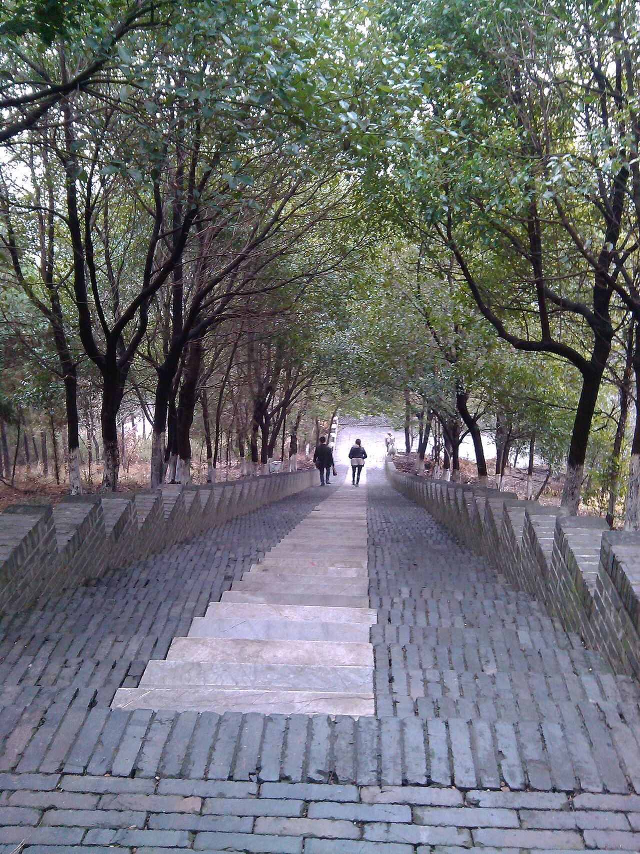 茅山林荫石阶