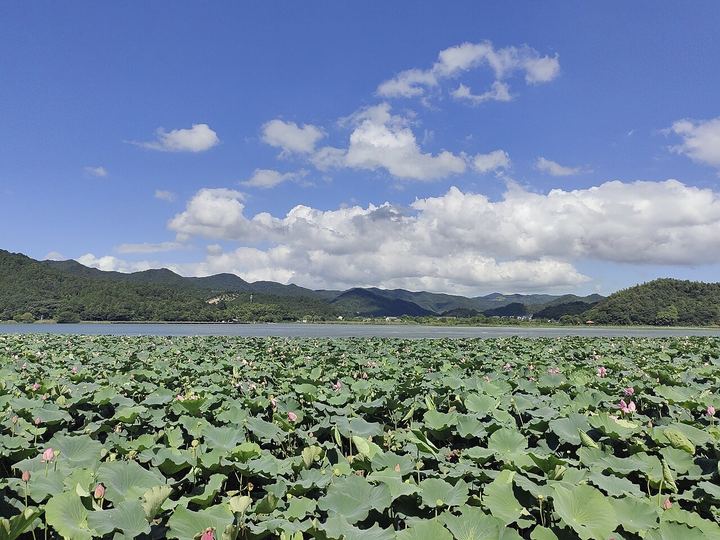 宁波东钱湖福泉山大环线实景图