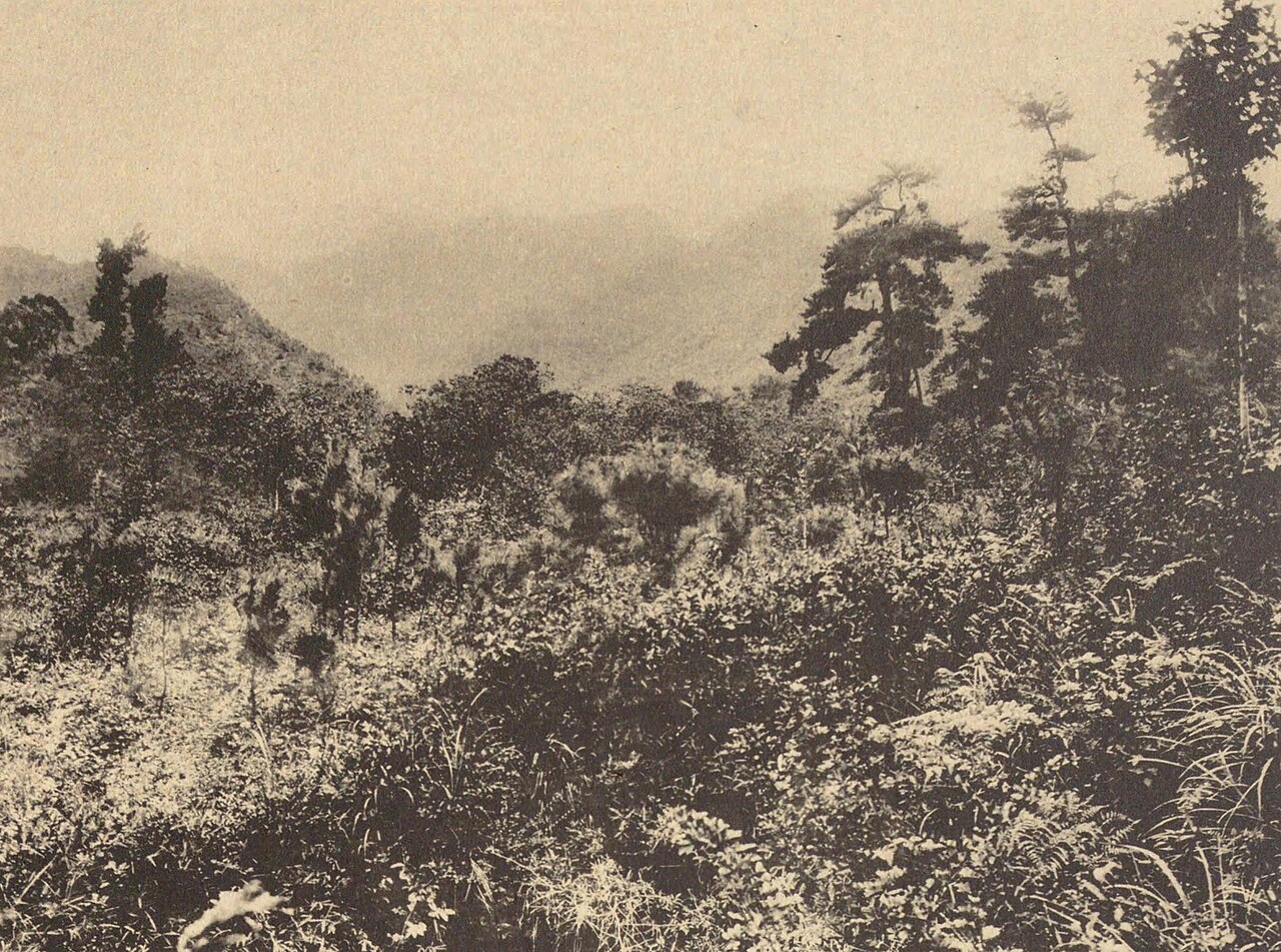 月华山所在会稽山脉历史山景
