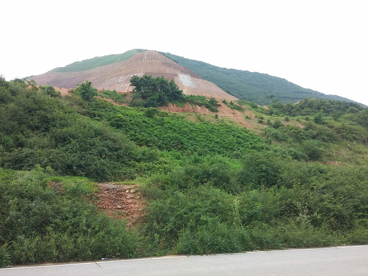 大阳山山体与林地
