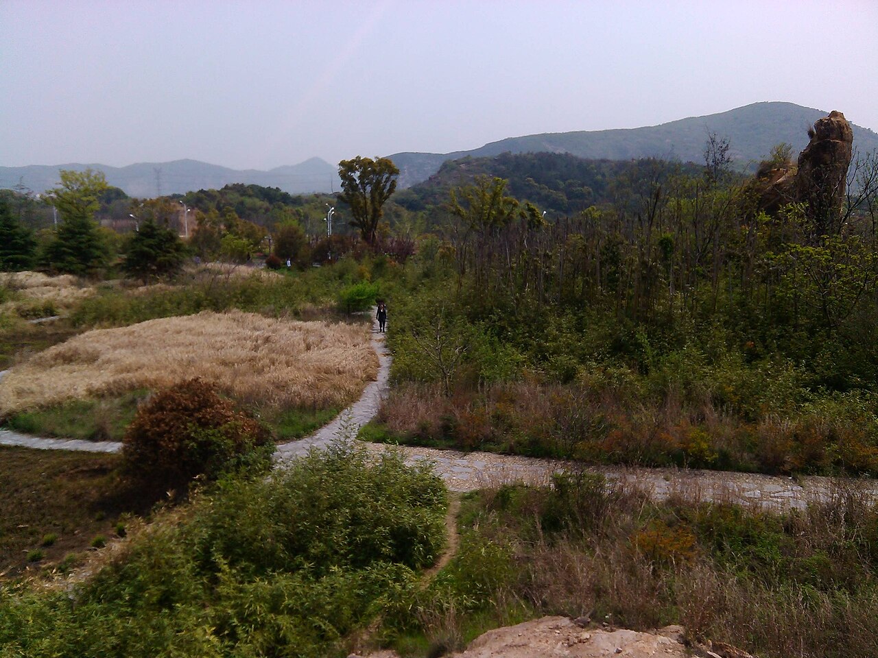 大阳山林间步道与山景