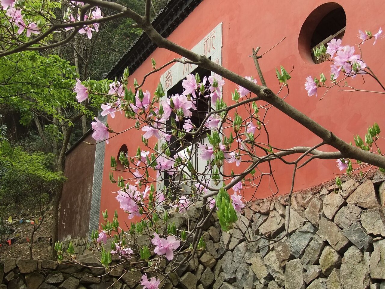 临川古道邻近山寺春花