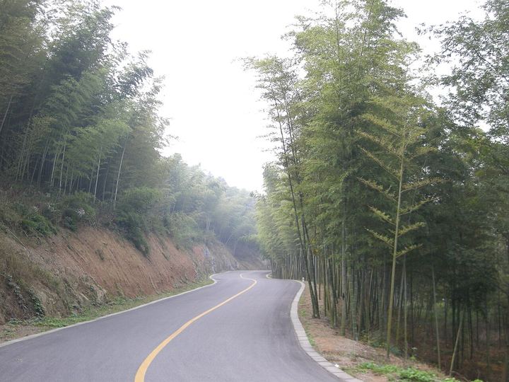 南京溧水无想山环线实景图