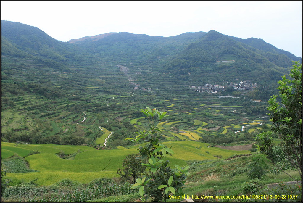 覆卮山秋色梯田