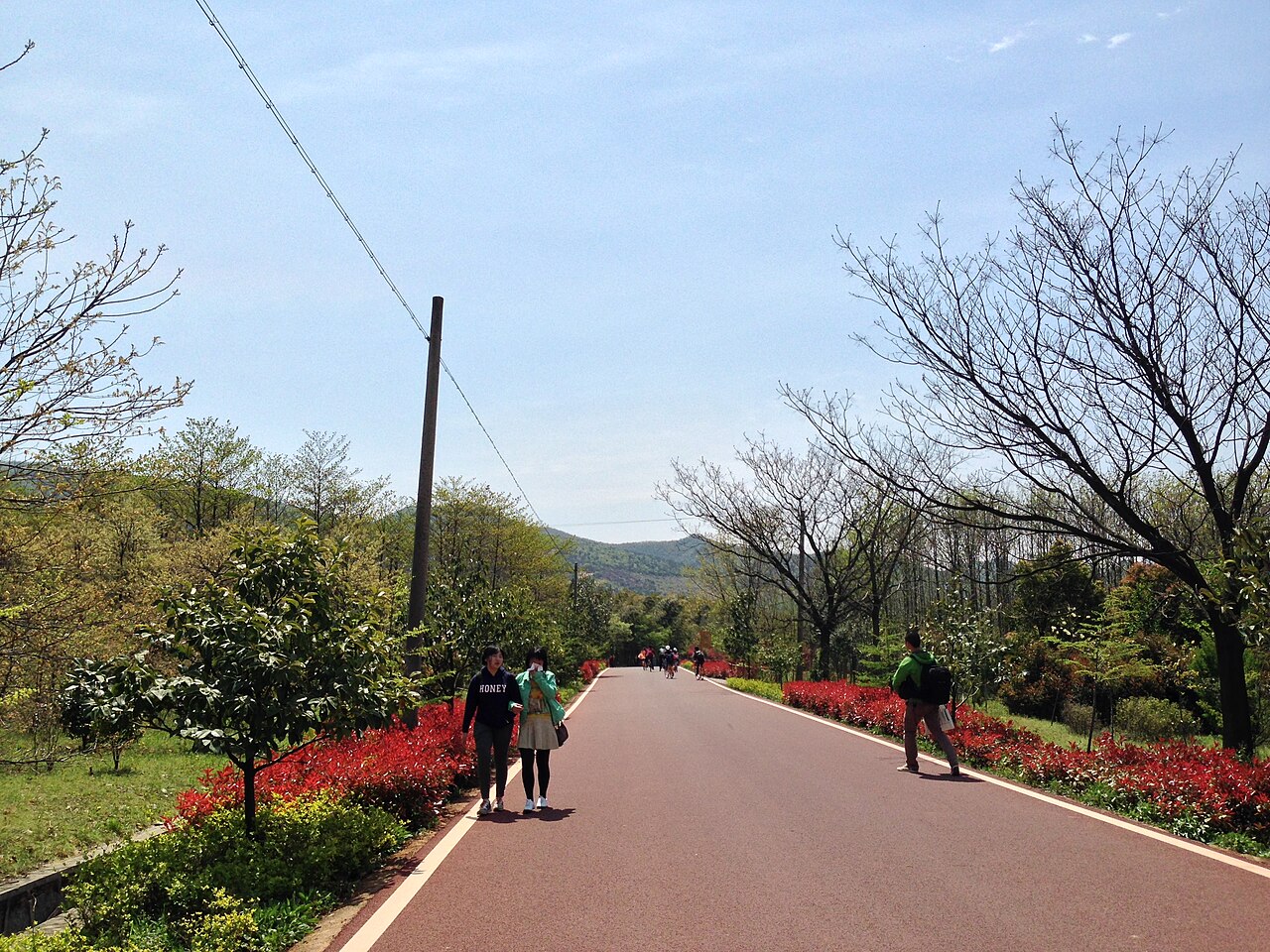 龙池水自行车公园花路