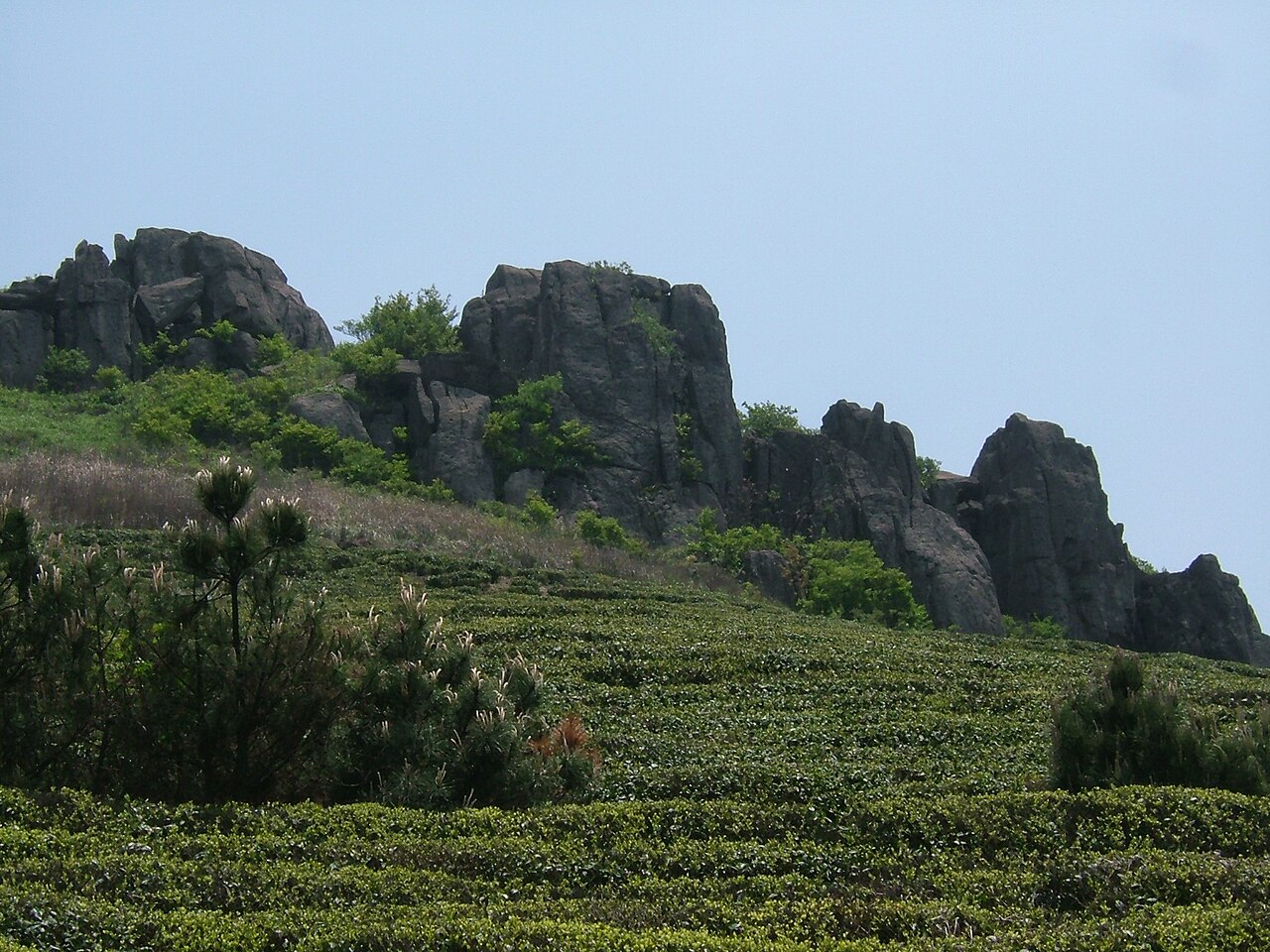 东白山岩石山路