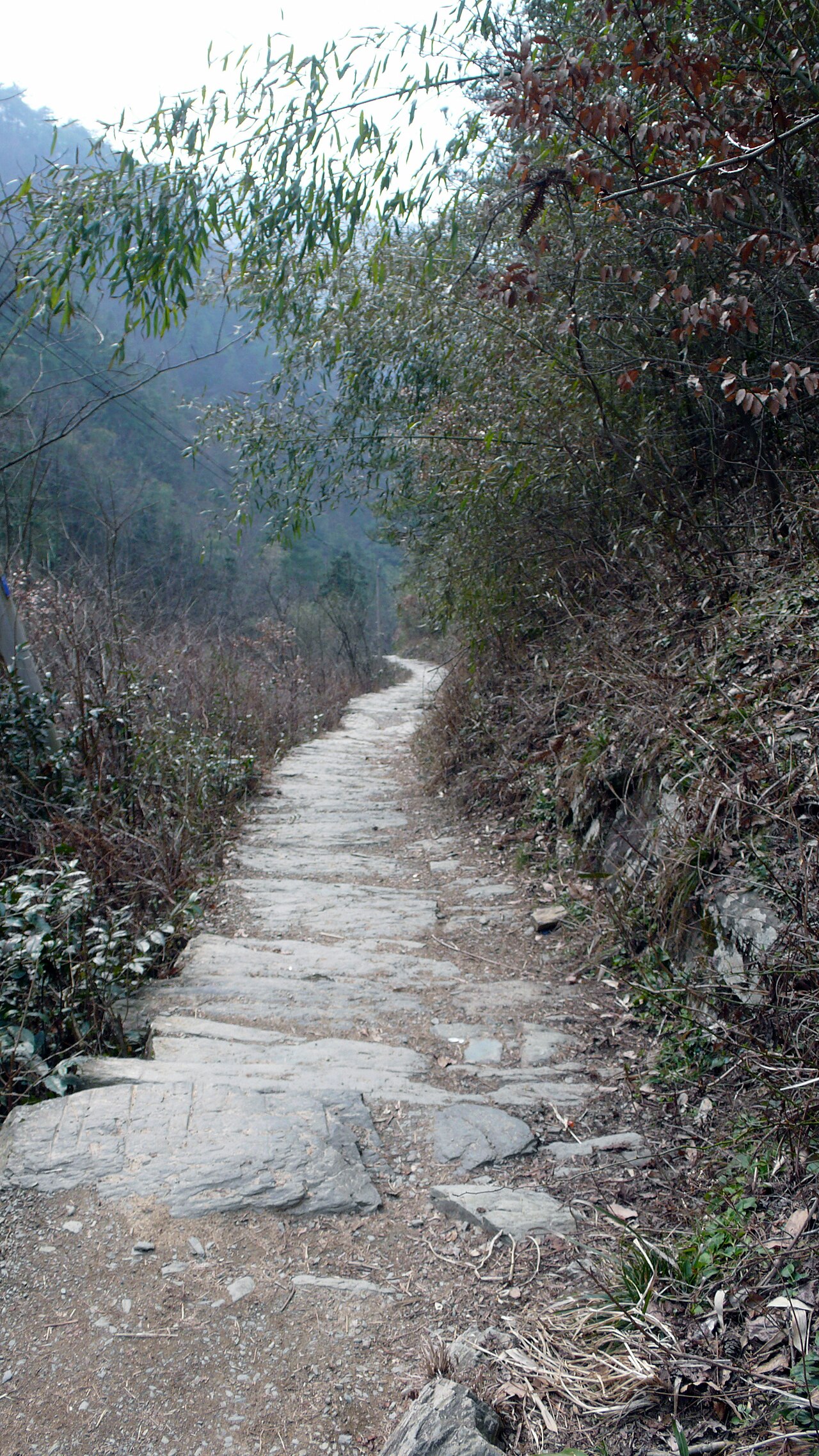 徽杭古道山路景观