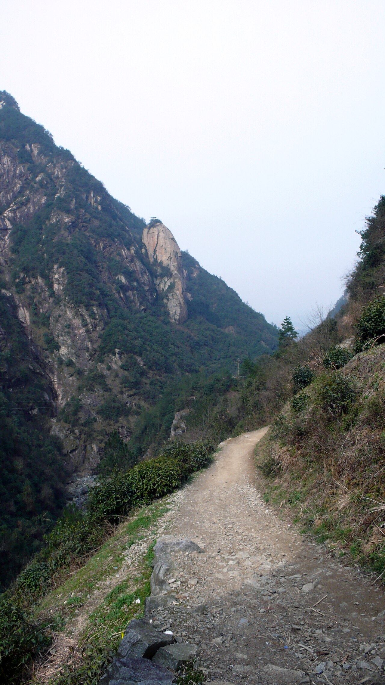 徽杭古道山路二