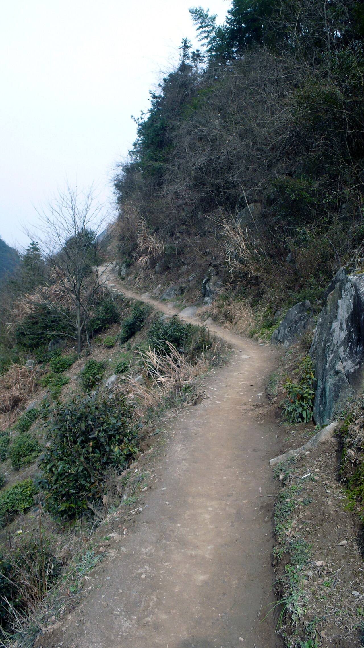 徽杭古道山谷路段