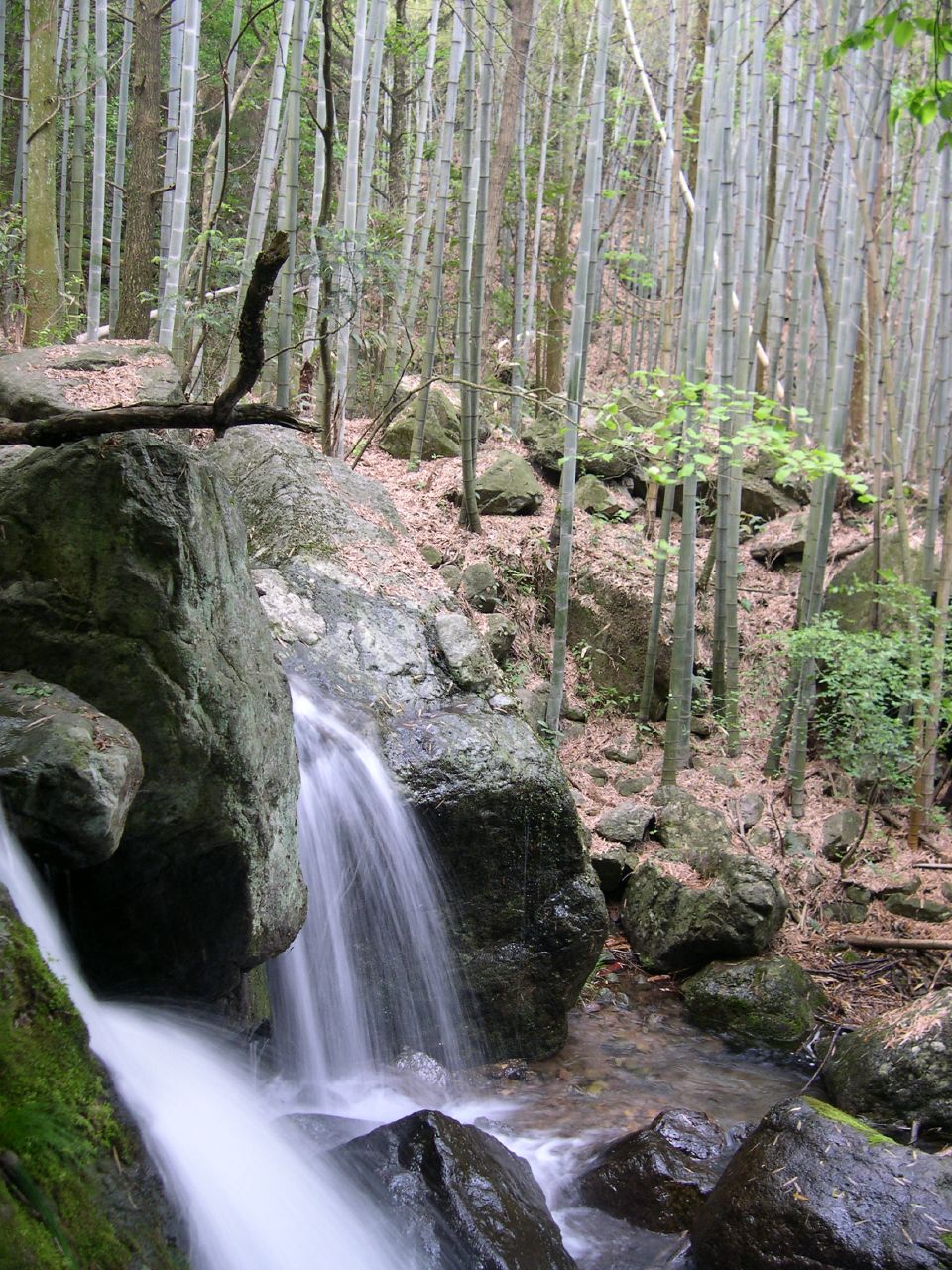 龙王山邻近天目山竹林溪瀑