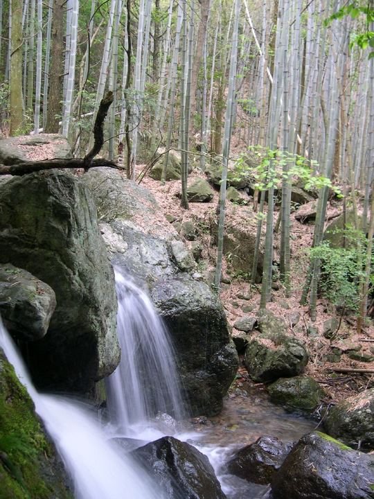 湖州安吉龙王山环线实景图