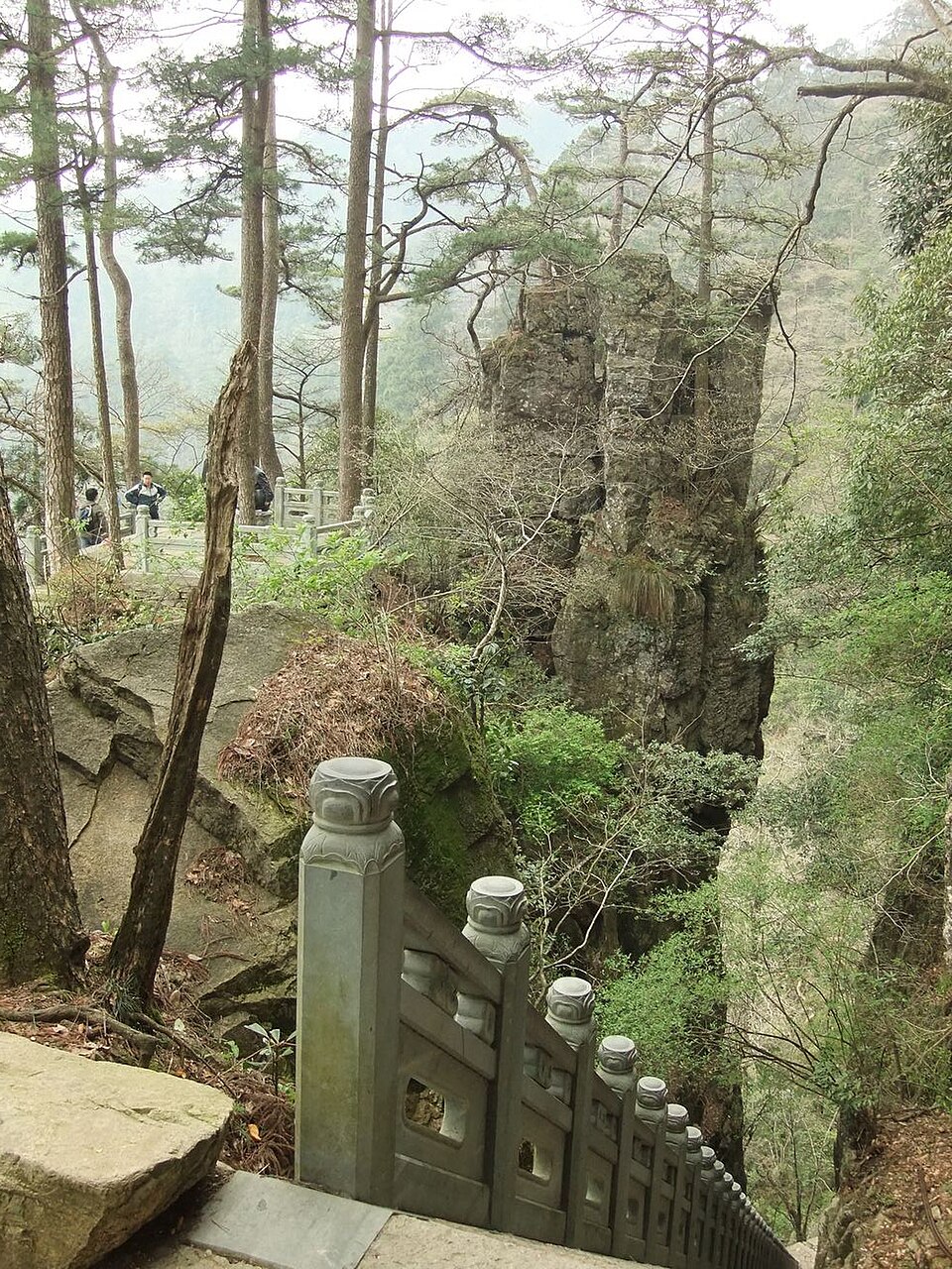 龙王山邻近天目山倒挂莲花峰