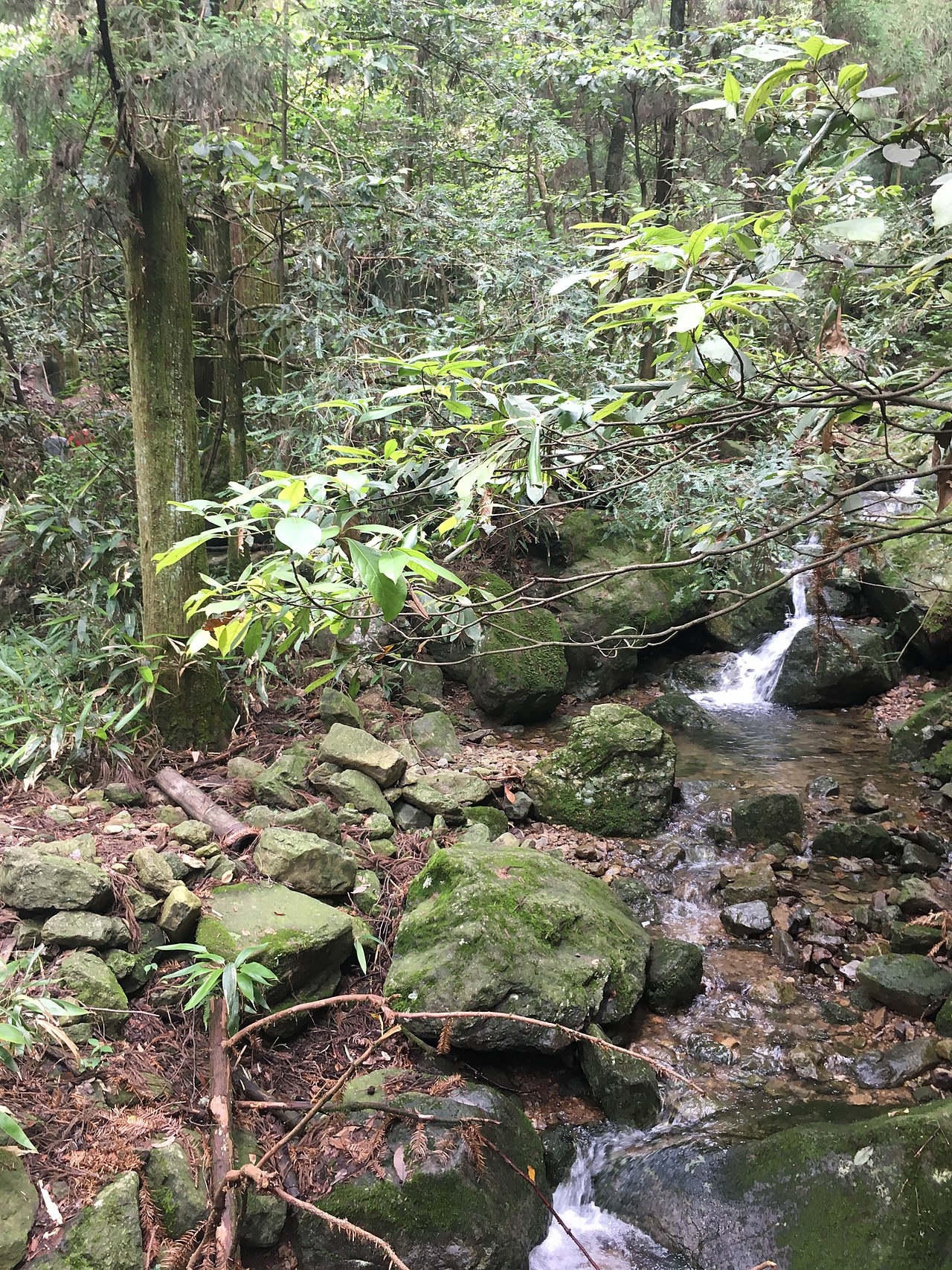 龙王山邻近天目山山泉