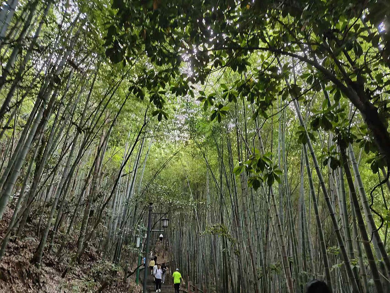 敬亭山上山道